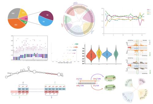 Mixed research charts