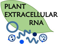 Plant Extracellular RNA